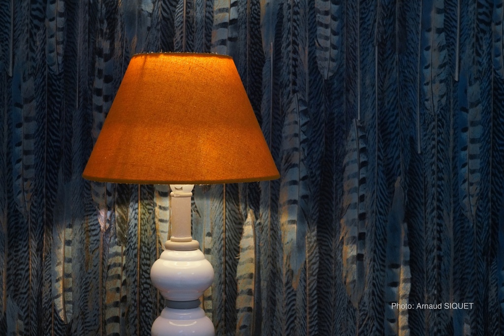 __import__.2022_11_30-14_09_23-3796