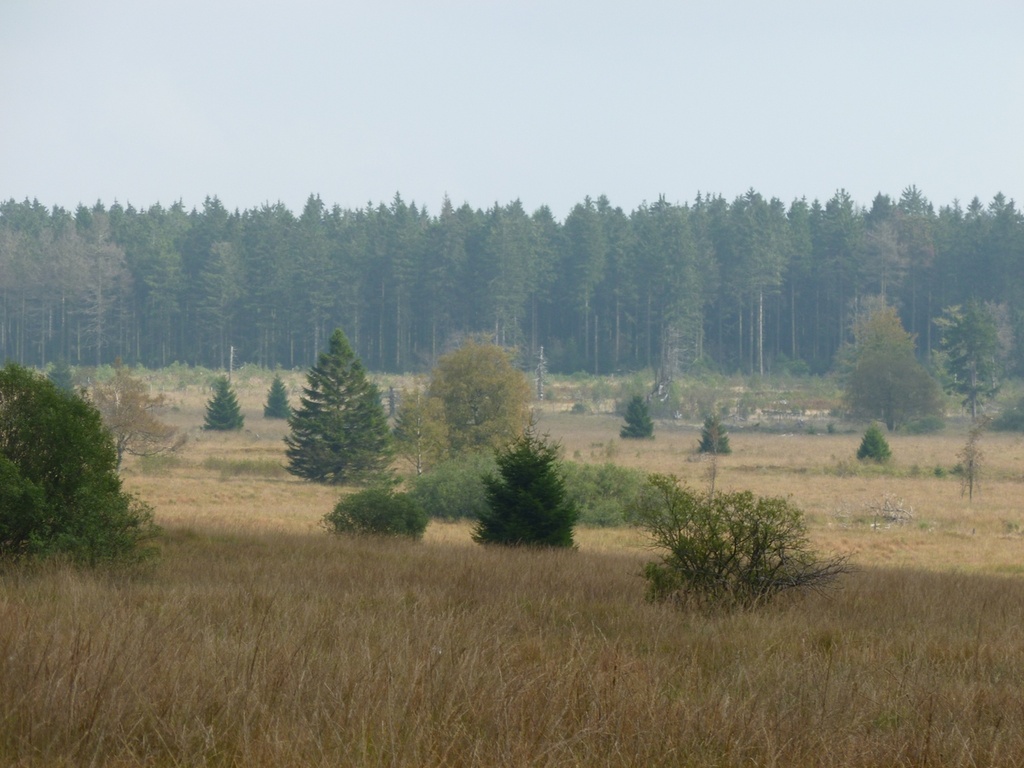 __import__.2022_11_30-14_09_23-1020