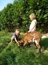__import__.2023_02_24-15_10_03-145