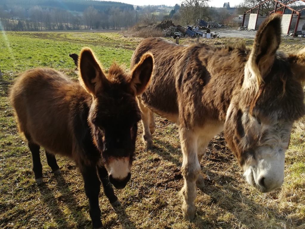 __import__.2023_02_24-15_10_03-169