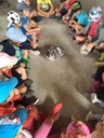 __import__.2023_02_24-15_10_03-7