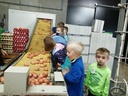 __import__.2023_02_24-15_10_03-177