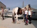 __import__.2023_02_24-15_10_03-37