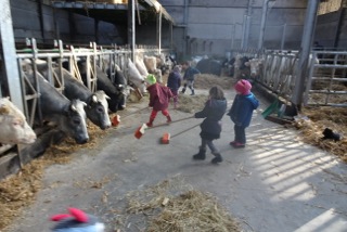 __import__.2023_02_24-15_10_03-326