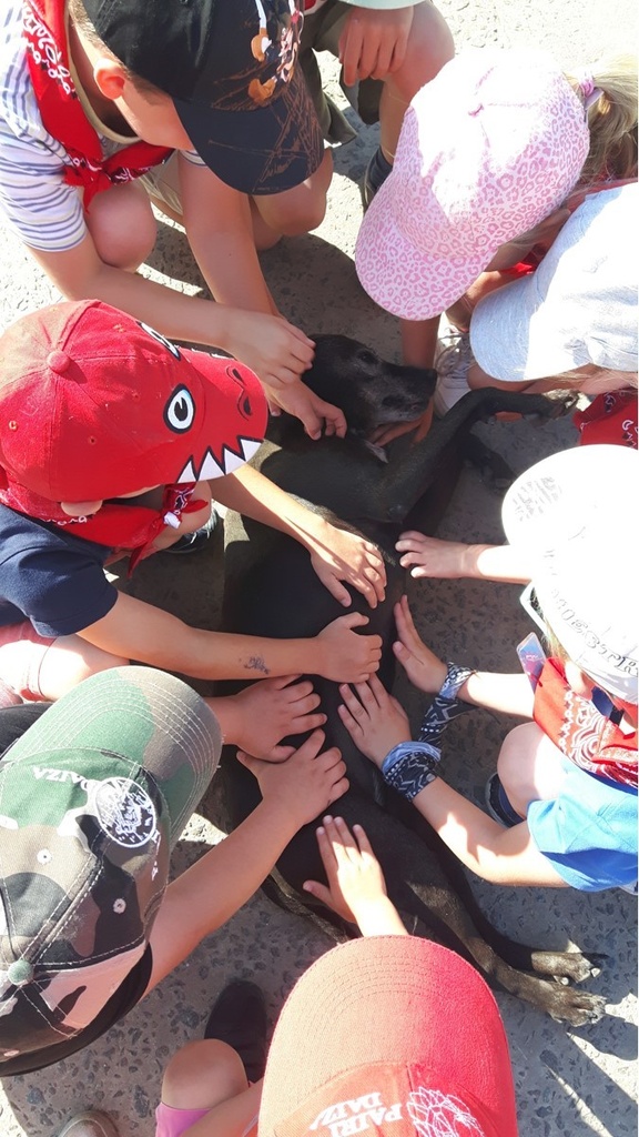 __import__.2023_02_24-15_10_03-279