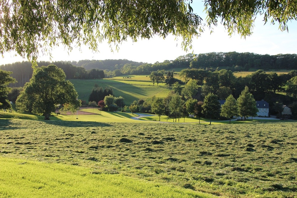 Al Pierîre en automne-min.JPG