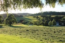 Al Pierîre en automne-min.JPG