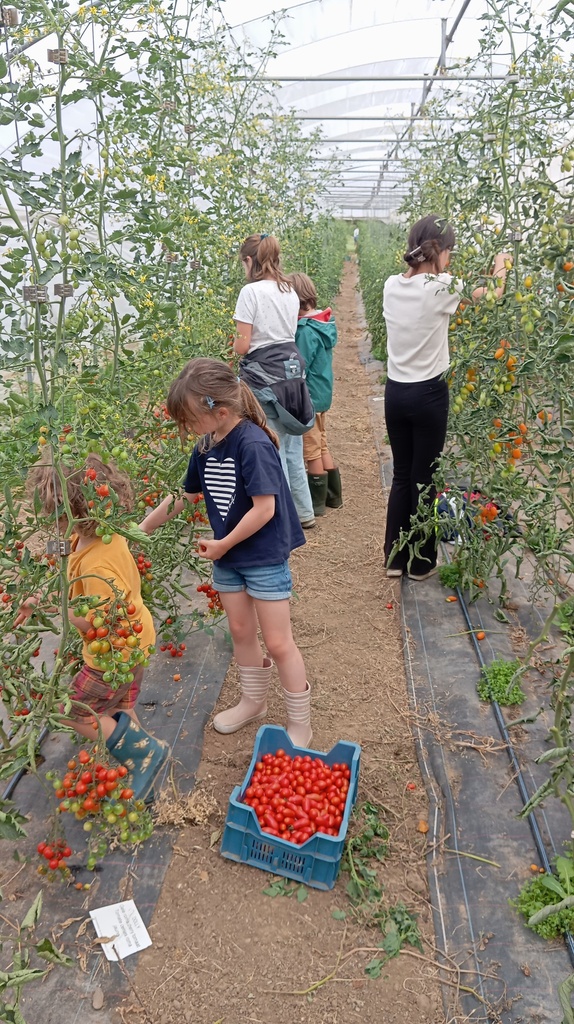Ferme Schiepers - Prends-en de la graine