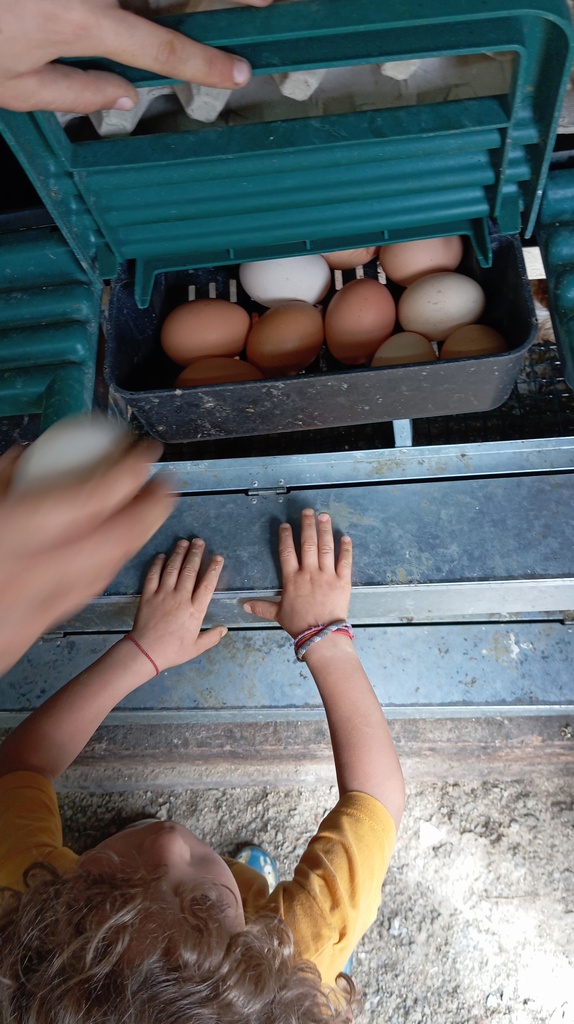Ferme Schiepers - Prends-en de la graine