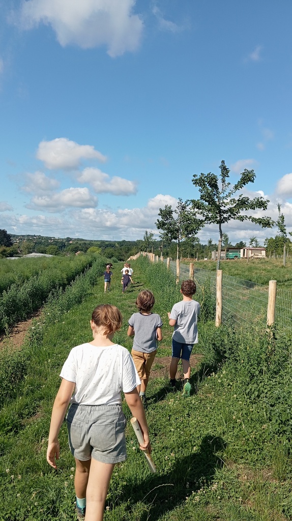 Ferme Schiepers - Prends-en de la Graine