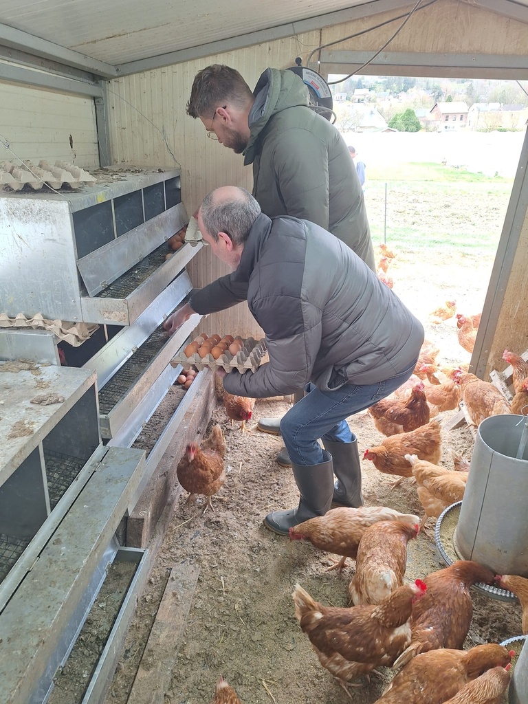 Ferme Schiepers - Prends-en de la Graine