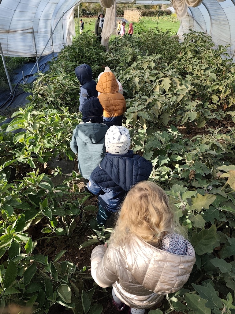 Ferme Schiepers - Prends-en de la Graine