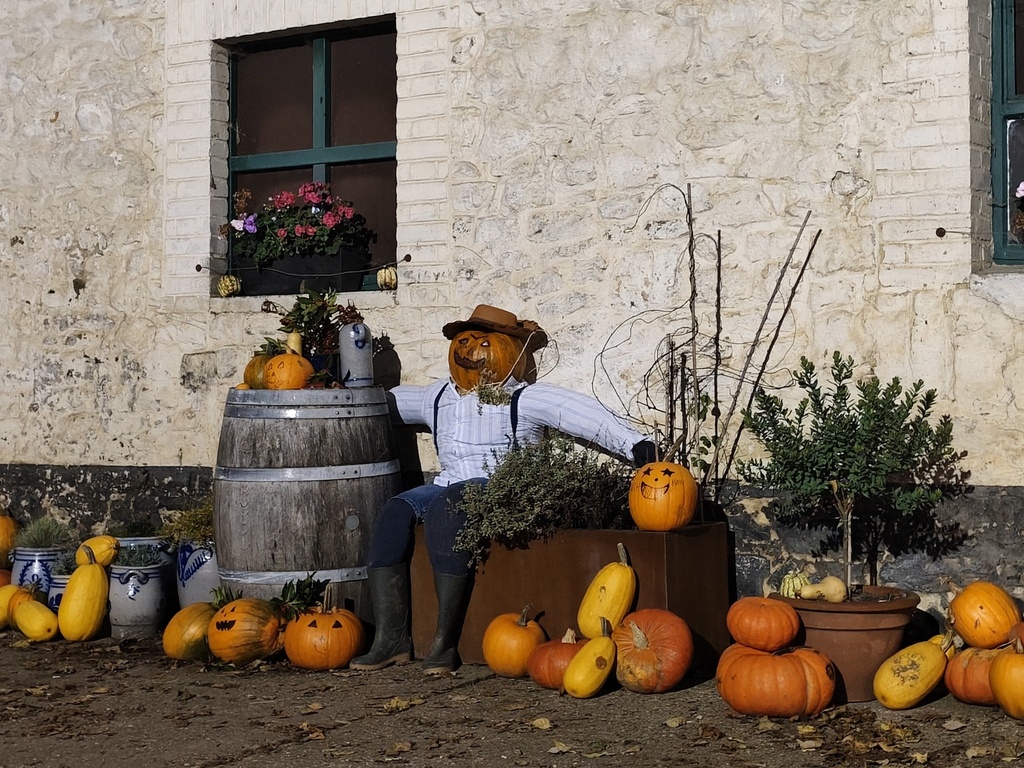Ferme Schiepers - Prends-en de la graine
