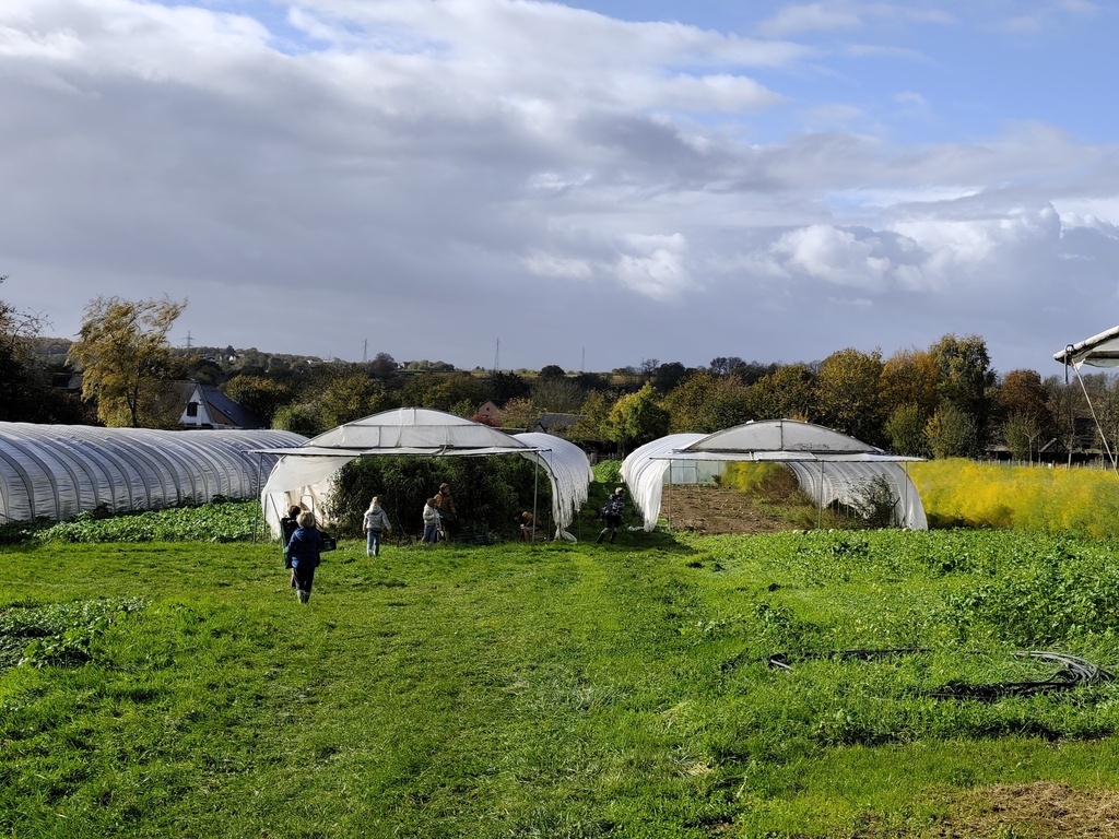 Ferme Schiepers - Prends-en de la graine