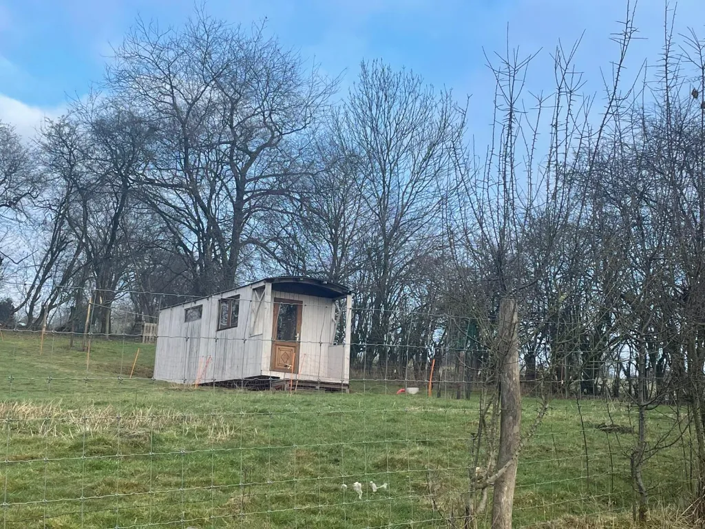 WhatsApp Image 2026-03-09 at 13.36.17aa.webp