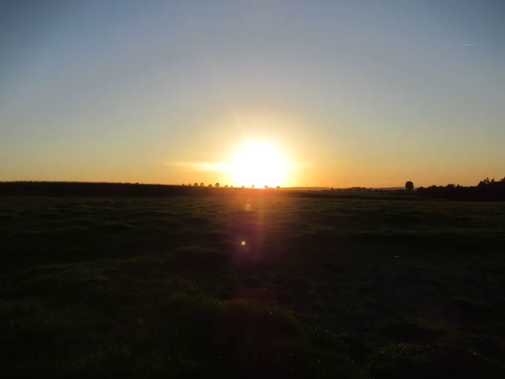 IMG_8860 original .webp