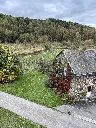 IMG_2642.webp