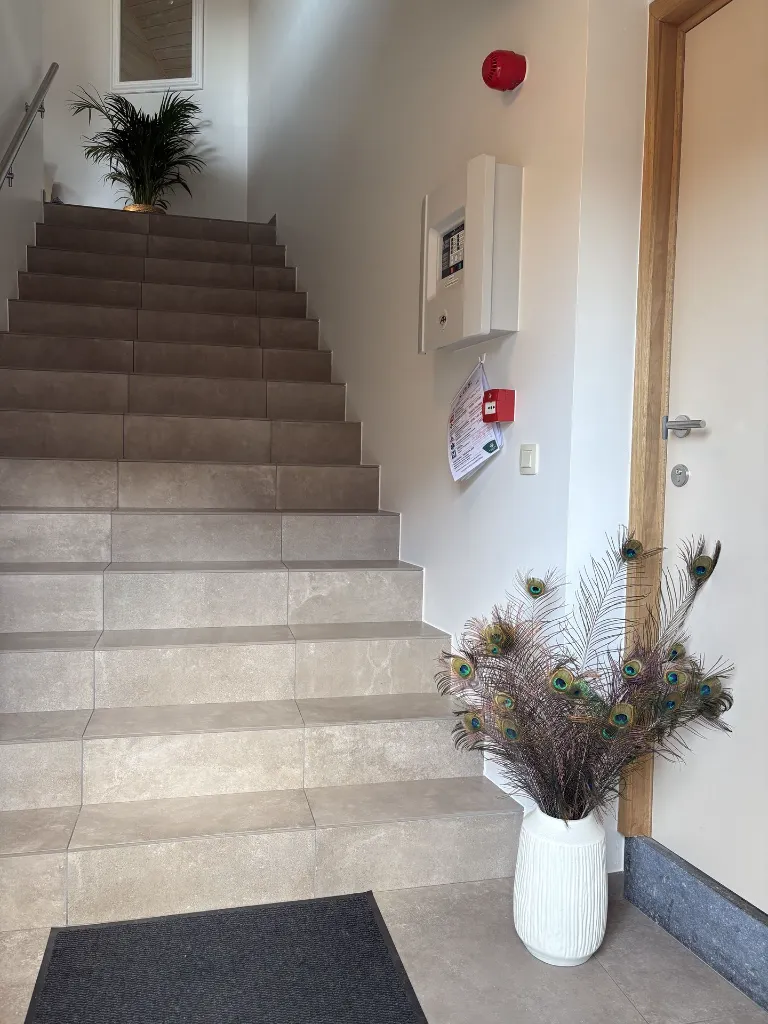 escalier 2.webp