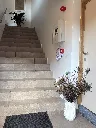 escalier 2.webp