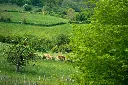 _DSC0899.webp