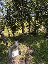 image00036.webp