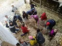 IMG_20210715_095030.webp