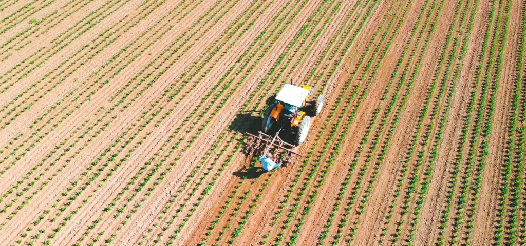 agriculture01-lemairebio-chapon-seraing.webp