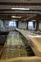 Mariage E&JN-46.webp