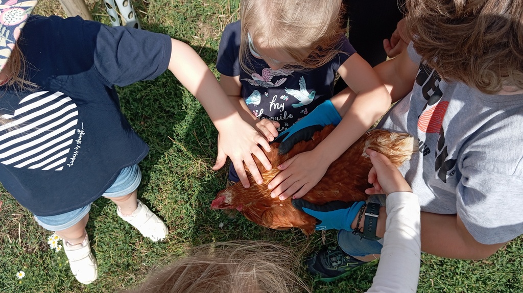 La Ferme Schiepers - Prends-en de la Graine