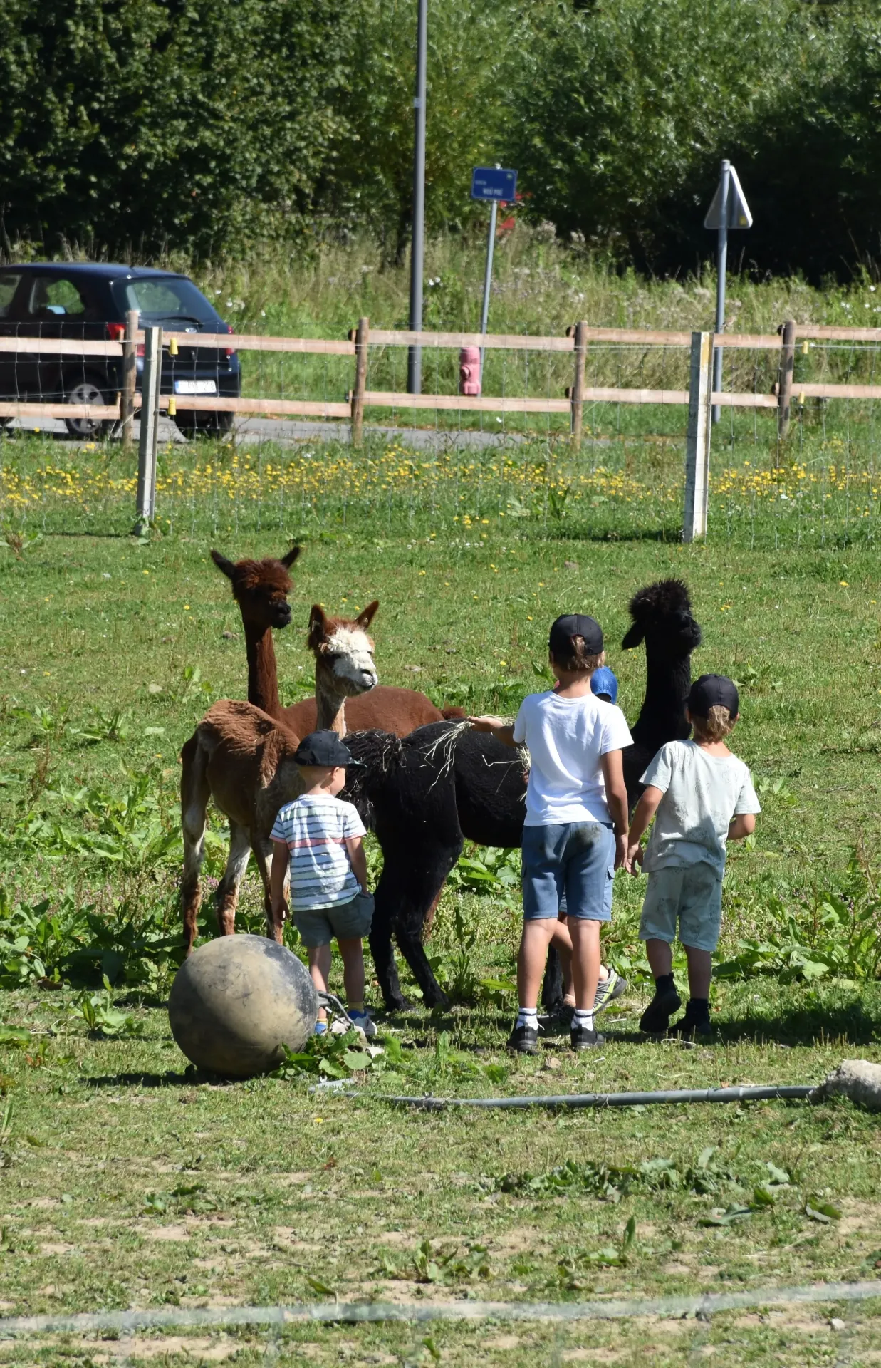 La Fermette de Grison - anniversaires à la ferme